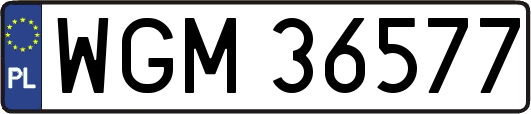WGM36577