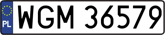 WGM36579