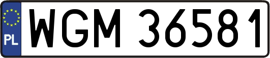 WGM36581