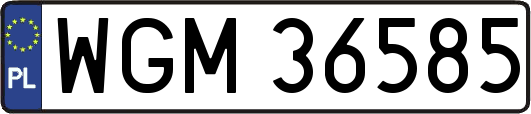 WGM36585