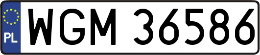 WGM36586