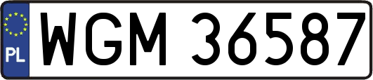 WGM36587
