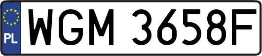 WGM3658F