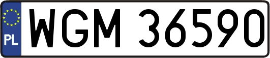 WGM36590