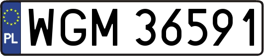 WGM36591