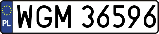 WGM36596