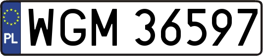 WGM36597