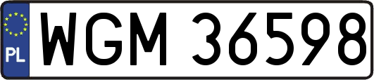 WGM36598