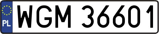 WGM36601