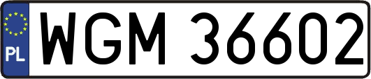 WGM36602