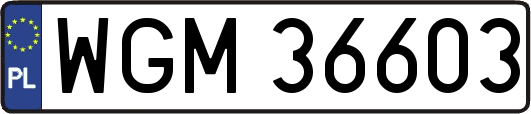 WGM36603