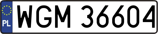 WGM36604