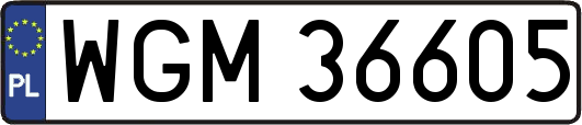 WGM36605