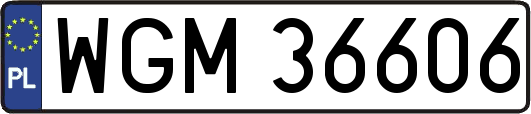 WGM36606