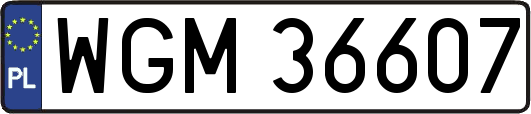 WGM36607