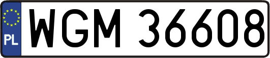 WGM36608
