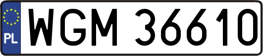 WGM36610