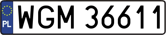 WGM36611
