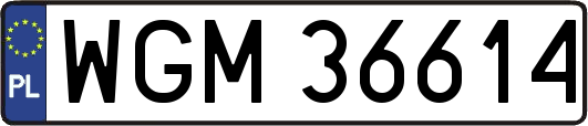 WGM36614