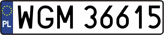 WGM36615