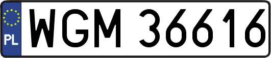 WGM36616