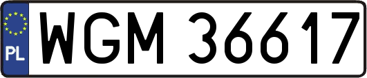 WGM36617
