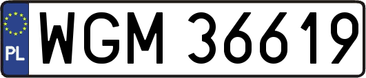 WGM36619