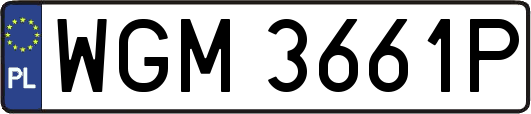 WGM3661P
