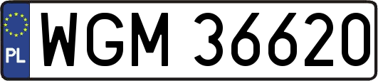 WGM36620