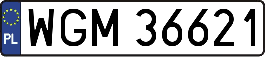 WGM36621