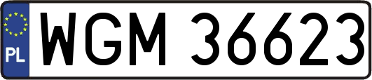 WGM36623