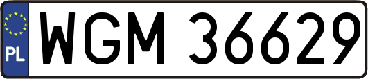 WGM36629
