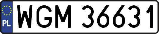WGM36631