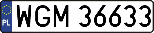 WGM36633