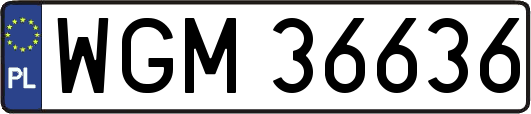 WGM36636