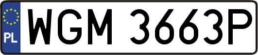 WGM3663P