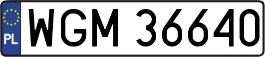 WGM36640