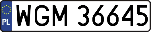 WGM36645