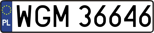 WGM36646