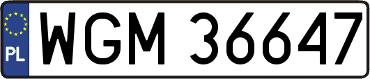 WGM36647