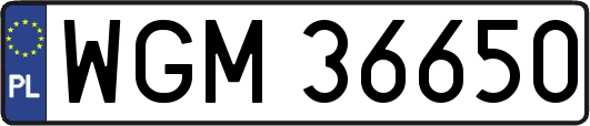 WGM36650