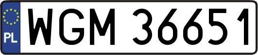 WGM36651