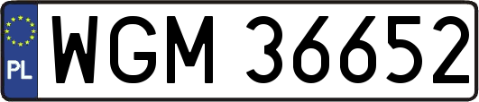 WGM36652