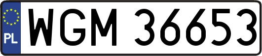 WGM36653