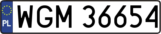 WGM36654