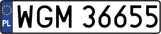 WGM36655