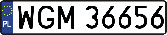 WGM36656