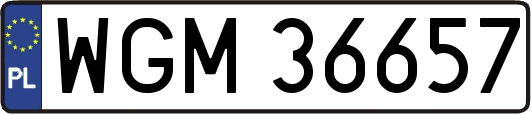 WGM36657