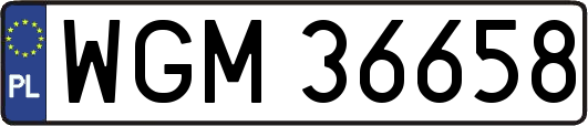 WGM36658