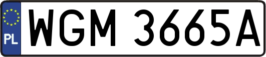 WGM3665A